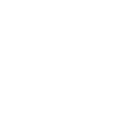 SOFLETE logo